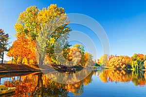 Autumn park nature. Colorful trees and lake in park. Fall scene. Beautiful clear autumn day