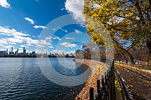 Autumn in the Park, NY, USA