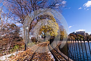 Autumn in the Park, NY, USA