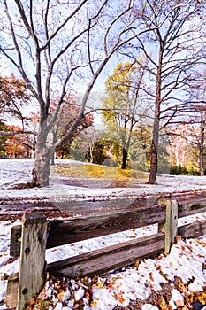 Autumn in the Park, NY, USA