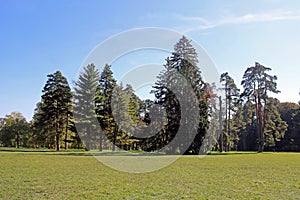 Autumn park Oleksandriya in Bila Tserkva, Kyiv region, Ukraine