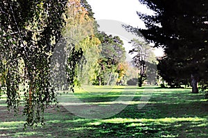 Autumn park Oleksandriya in Bila Tserkva, Kyiv region, Ukraine