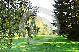 Autumn park Oleksandriya in Bila Tserkva, Kyiv region, Ukraine