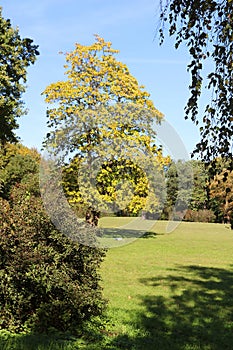 Autumn park Oleksandriya in Bila Tserkva, Kyiv region, Ukraine