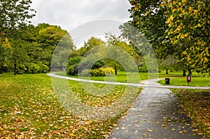 Autumn park and Overcast Sky