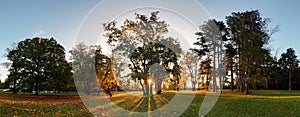 Autumn park - panorama with sun