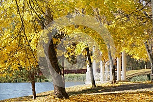 Autumn park with pond and gazebo