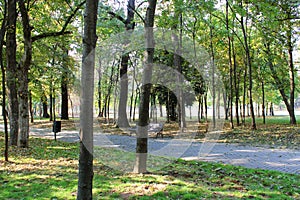 Autumn Park Scenary photo