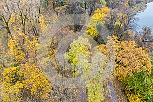 Autumn park scenery with colorful bright trees and footpaths covered with fallen leaves