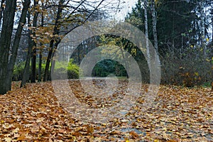 Autumn in park Sofiyivka. Uman city, Ukraine