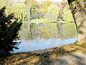 Autumn in the Park StanisÅ‚awa Staszica Kielce
