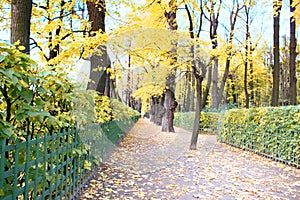 Autumn in the Park and on the streets