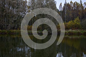 In the autumn Park there is a pond in the forest. Colorful forest on the banks