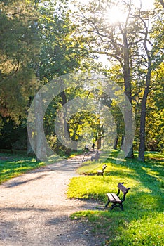 Autumn park and walking people