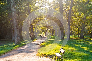 Autumn park and walking people