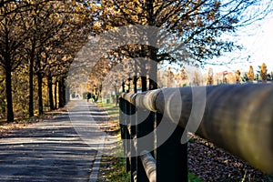 Autumn park walkway