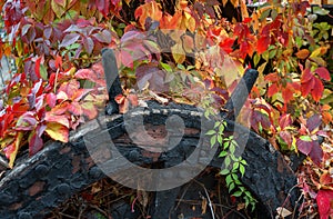 Autumn park with wooden wheel and red leaves