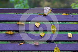Autumn, Part of vivid benches in park, leaves close-up, similar to notes on typical five-line staff. Colorful background
