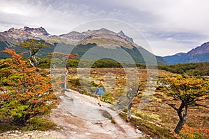 Autumn in Patagonia