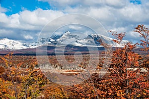 Autumn in Patagonia. Cordillera Darwin, Tierra del Fuego