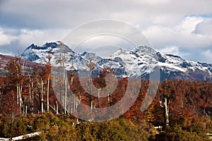 Autumn in Patagonia. Cordillera Darwin, Tierra del Fuego