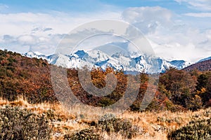 Autumn in Patagonia. Tierra del Fuego, Argentine side photo