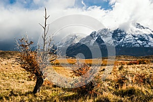 Autumn in Patagonia. The Torres del Paine National Park