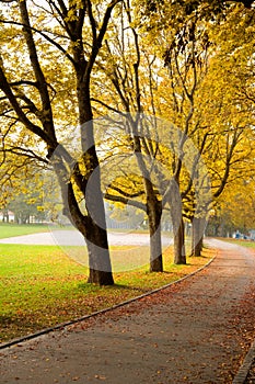 Autumn Path