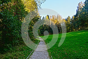 autumn path in the forest in Abramtsevo estate, Moscow region, Russia