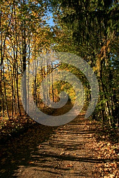 Autumn path in mountains village.