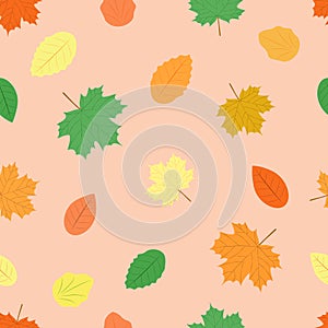 Autumn pattern. Colorful leaf seamless background. Yellow, red and green maple leaves. Vector illustration