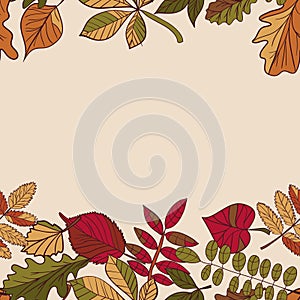 Autumn pattern. Pattern of autumn leaves. Red, yellow and green leaves of forest trees. Seamless Border. Use as a background of t