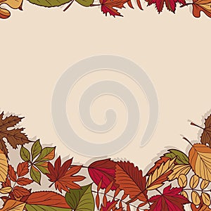 Autumn pattern. Pattern of autumn leaves. Red, yellow and green leaves of forest trees. Seamless Border. Use as a background of t