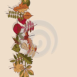Autumn pattern. Pattern of autumn leaves. Red, yellow and green leaves of forest trees. Seamless Border. Use as a background of t