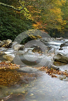 Autumn Peaceful Flowing Water