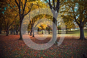 Autumn in a Pennsylvania park