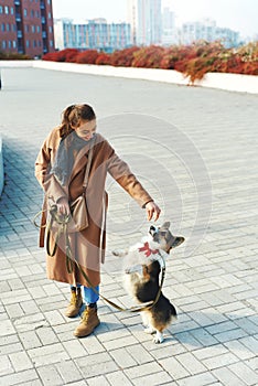 Autumn pet walking. woman in coat holding dogs treat, Welsh Corgi tanding on hind legs ad asking food.