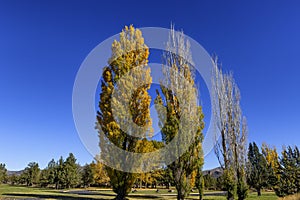 Autumn at Peter Skene Ogden Park in eastern Oregon, USA