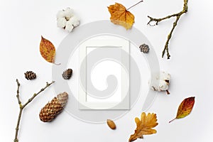 Autumn Photo frame, dried flowers and leaves on white background. Flat lay, top view, copy space