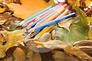 Autumn photo. Pencils, acorns and leaves of maple and oak.