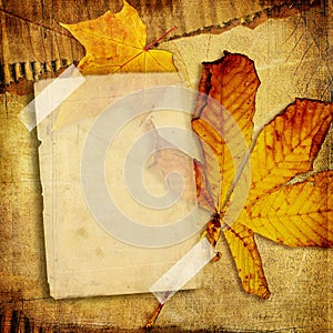 Autumn photoalbum