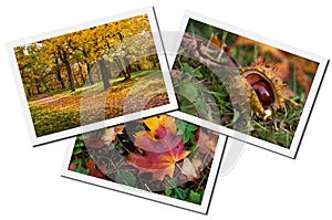 Autumn photos collage