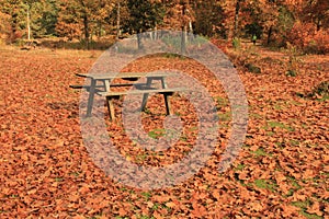 autumn picnic place