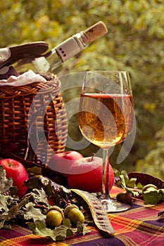 Autumn picnic with white wine, apples and a basket