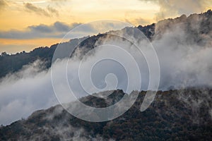 Autumn picture from Spanish mountain Montseny, near Santa fe del Montseny, Catalonia