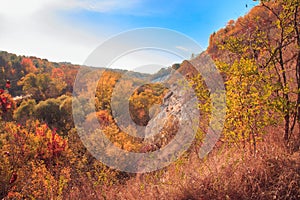 Autumn picturesque landscape with colorful forrest