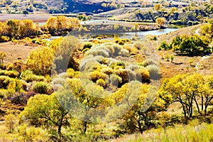 The autumn plants of Toad dam