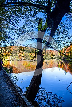 Autumn in Plitvice Jezera Lakes Park, Croatia