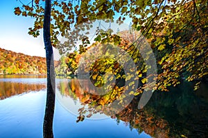 Autumn in Plitvice Jezera Lakes Park, Croatia