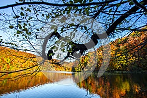 Autumn in Plitvice Jezera Lakes Park, Croatia